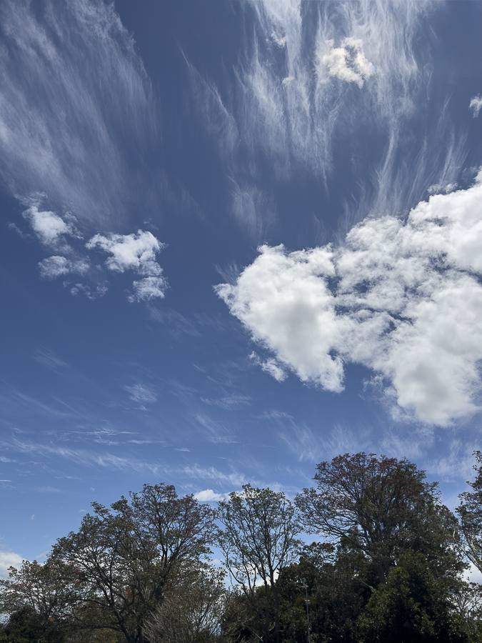 Cirrus Clouds 1